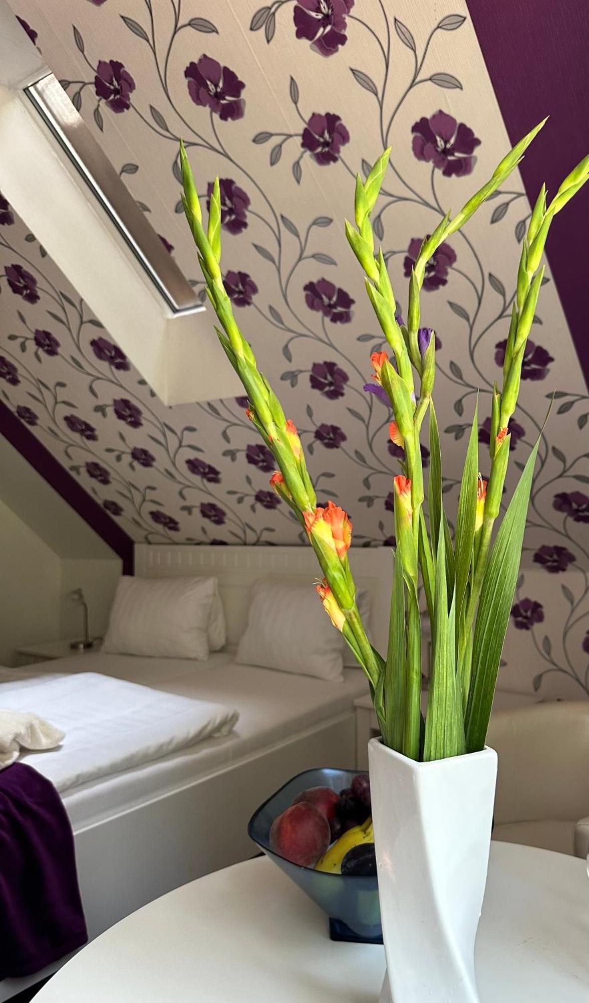 Wellness Penzion Harmonie Rohanov Prachatice Luaran gambar